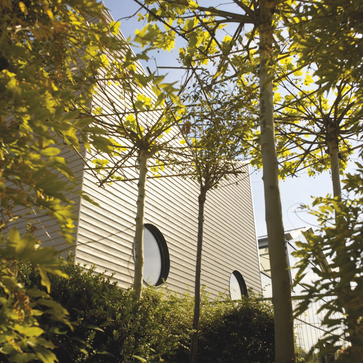 Cedral галерея. Фото 16