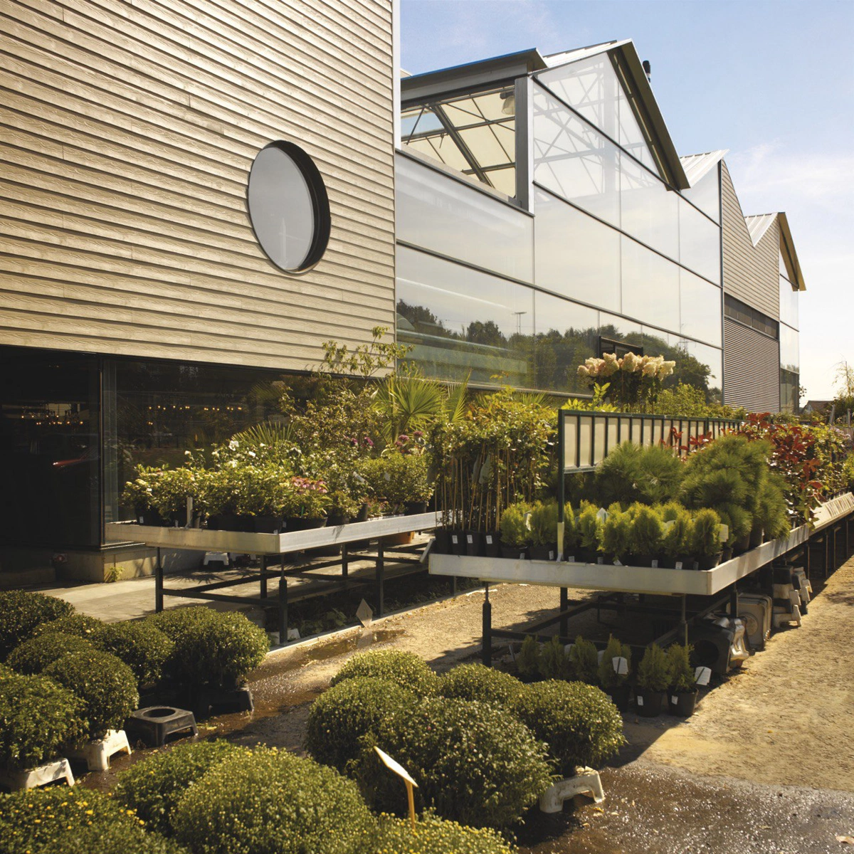 Cedral галерея. Фото 15