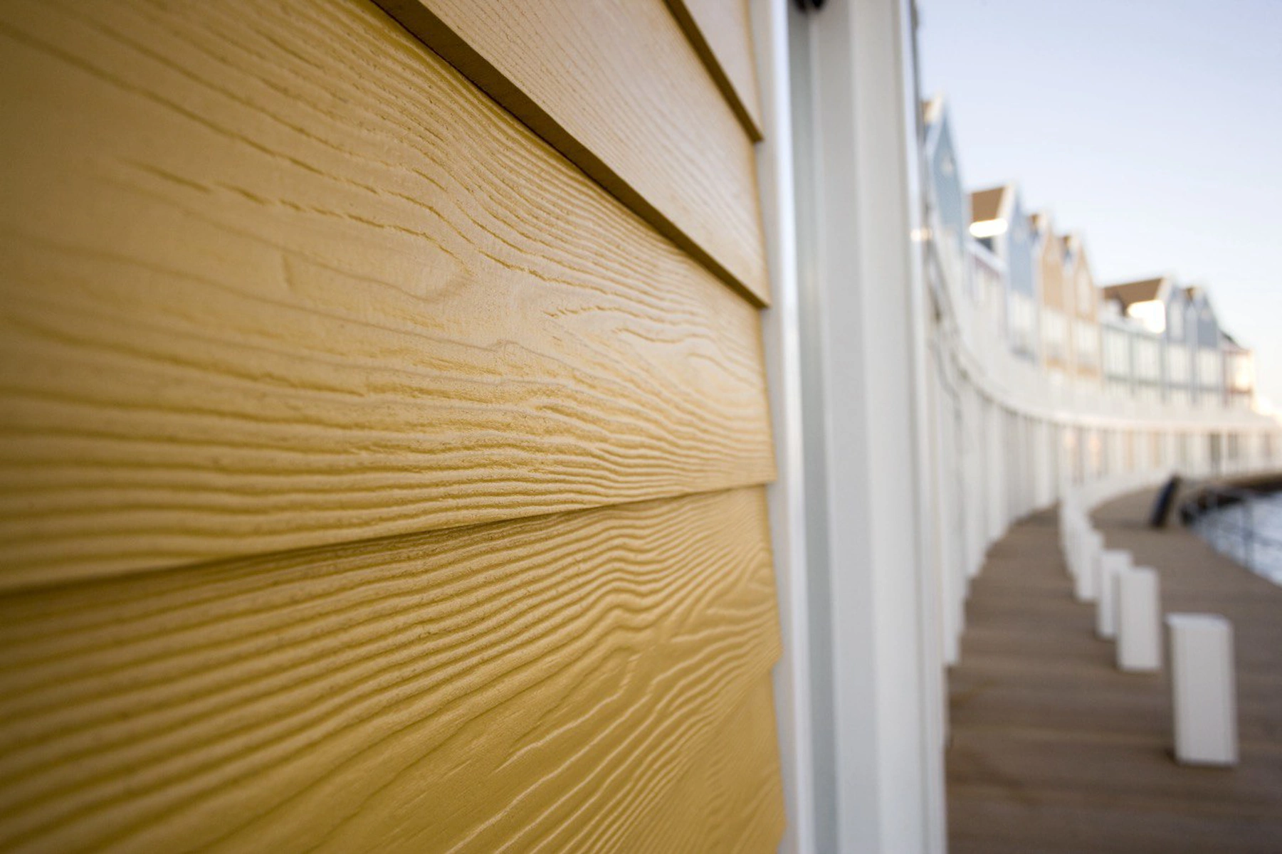 Cedral галерея. Фото 18